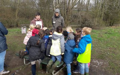 Projektwoche zum Thema Wasser und Nachhaltigkeit in Grundschule Ostbevern